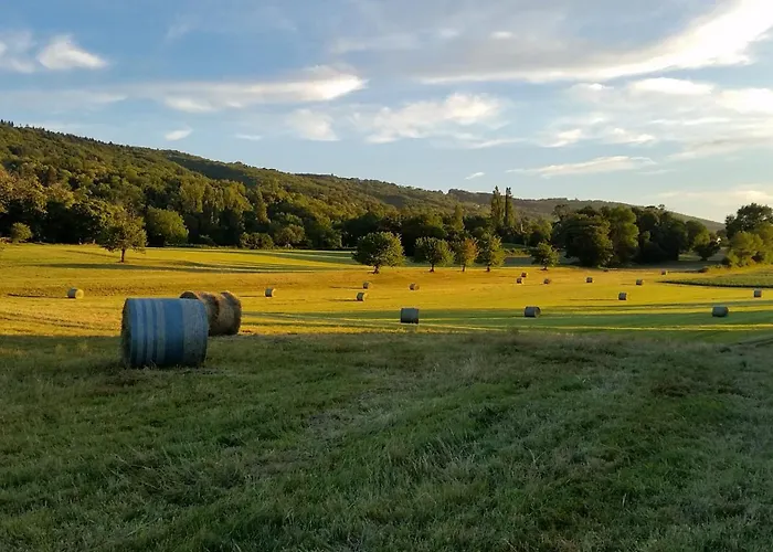 Entre Et Montagnes Evian - * Lugrin